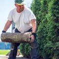 Is Working Landscaping Worth It? A Professional's Perspective