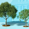 What Trees Add the Most Value to Your Home?