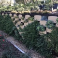 Living Retaining Walls: What are They and How Do They Work?