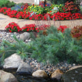 What is Softscape and How Does it Complement Hard Landscaping?