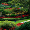 What Industry Does Landscaping Fall Under?