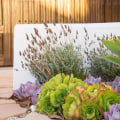 10 Most Affordable Gardening Materials for Beautiful Landscapes