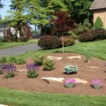 Is Landscaping a Good Career Choice?