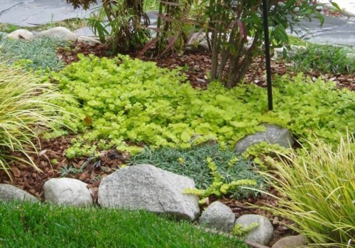 Softscape: What is Included in a Soft Landscape Design?