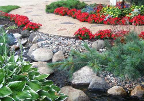What is Softscape in Landscape Design?